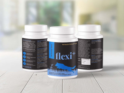 Flexi+ joint repair and support supplement for dogs by Venttura Bioceuticals - bottle image showcasing a complete formula for joint health.