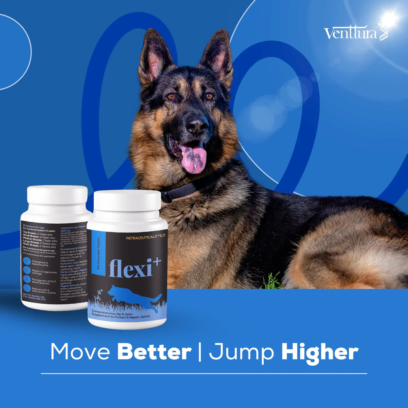 Flexi+ supplement bottle for dogs by Venttura Bioceuticals with overlay text highlighting benefits, including joint repair, anti-inflammatory properties, and support for arthritis and dysplasia.