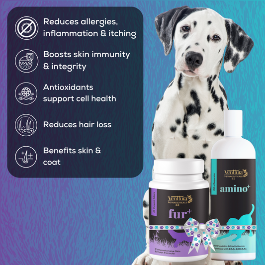 Coat Booster: Amino+ (150ml) & Fur+ (45 Tablets)