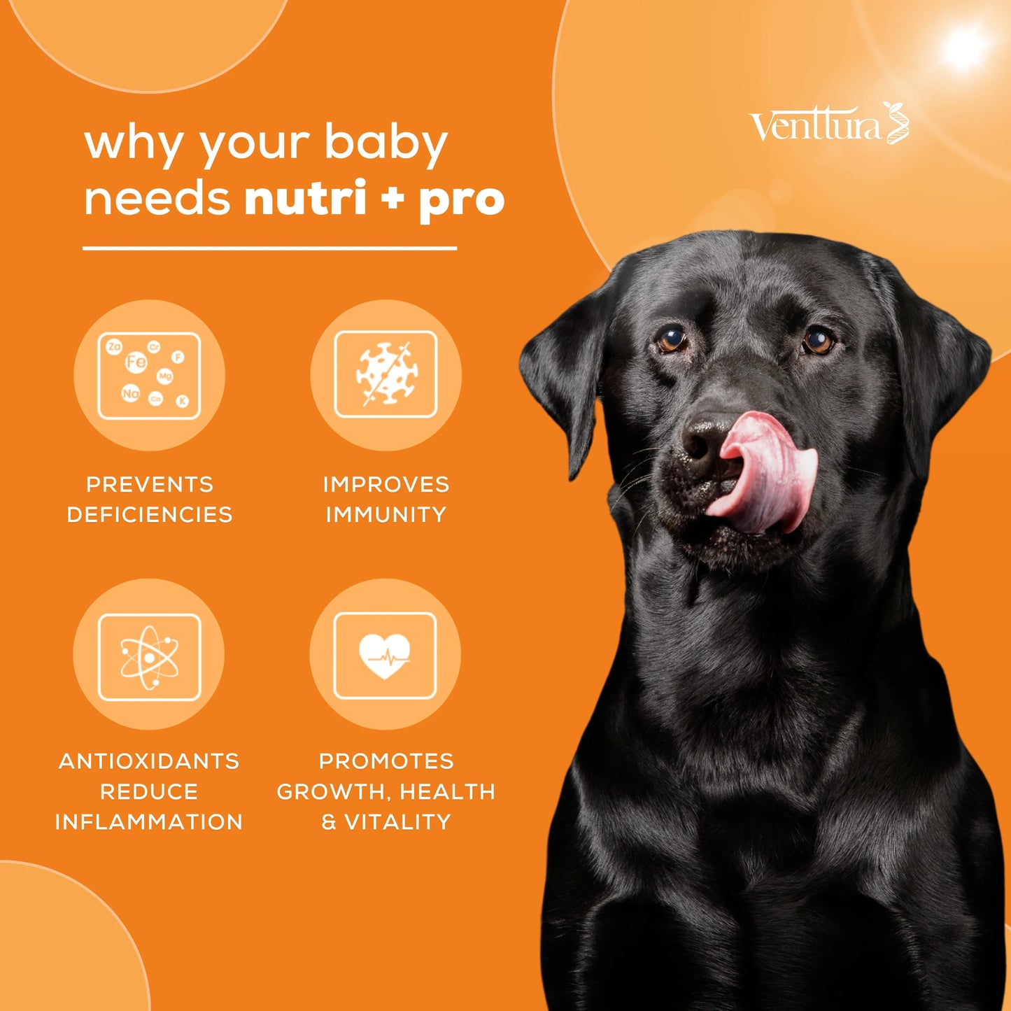 Nutri+ Pro multivitamin and minerals supplement for dogs by Venttura Bioceuticals - supports immunity, vitality, skin health, muscle growth, and overall well-being