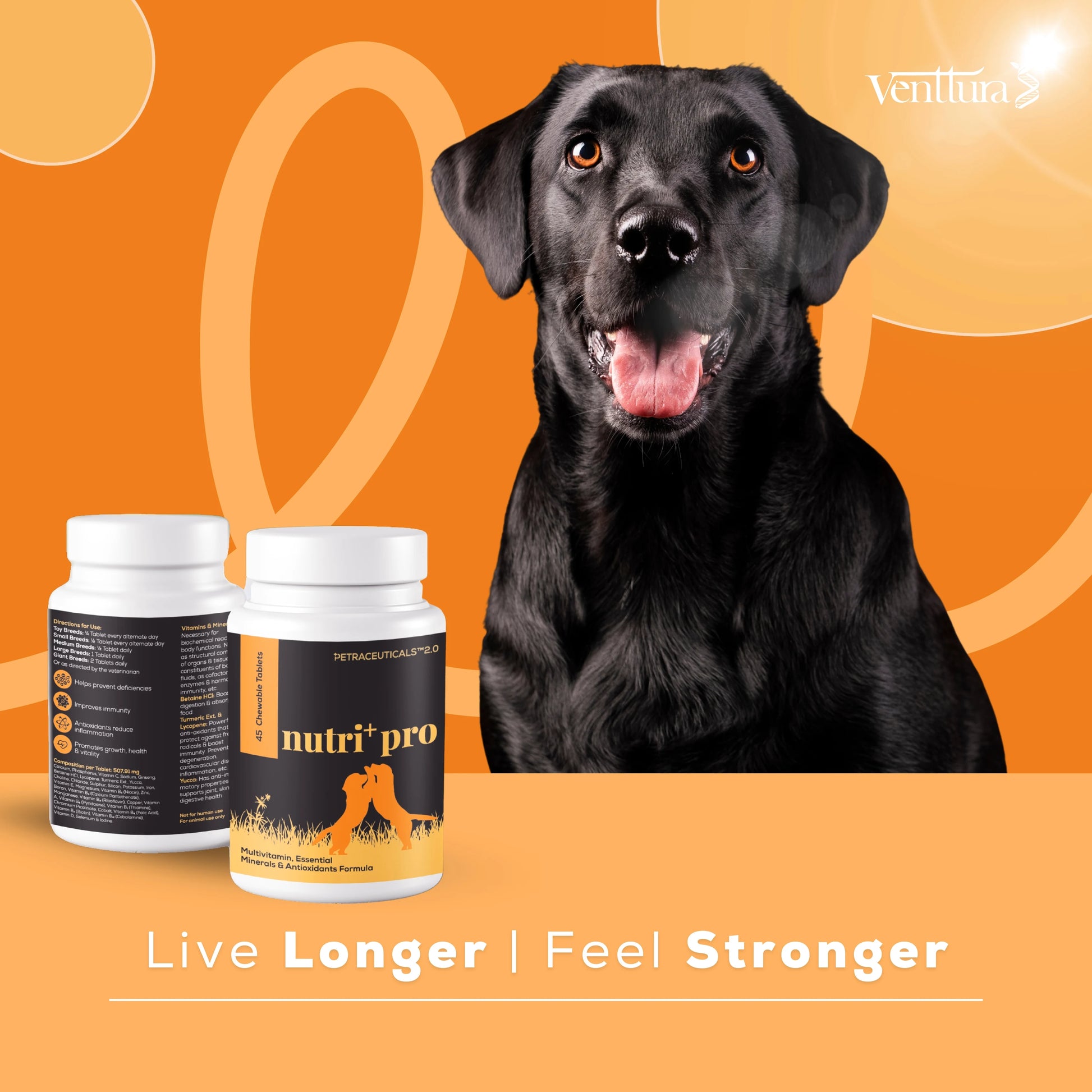 A smiling black Labrador posing next to the Nutri+ Pro multivitamin supplement bottle with the tagline 'Live longer and feel stronger' displayed alongside.
