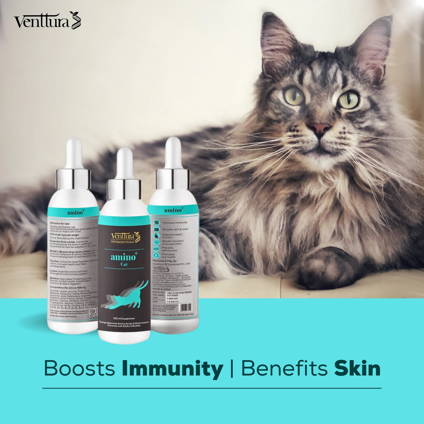 A healthy cat looking at the camera with Venttura Amino+ supplement bottle beside it. Tagline on image reads: 'Boosts immunity, benefits skin'.