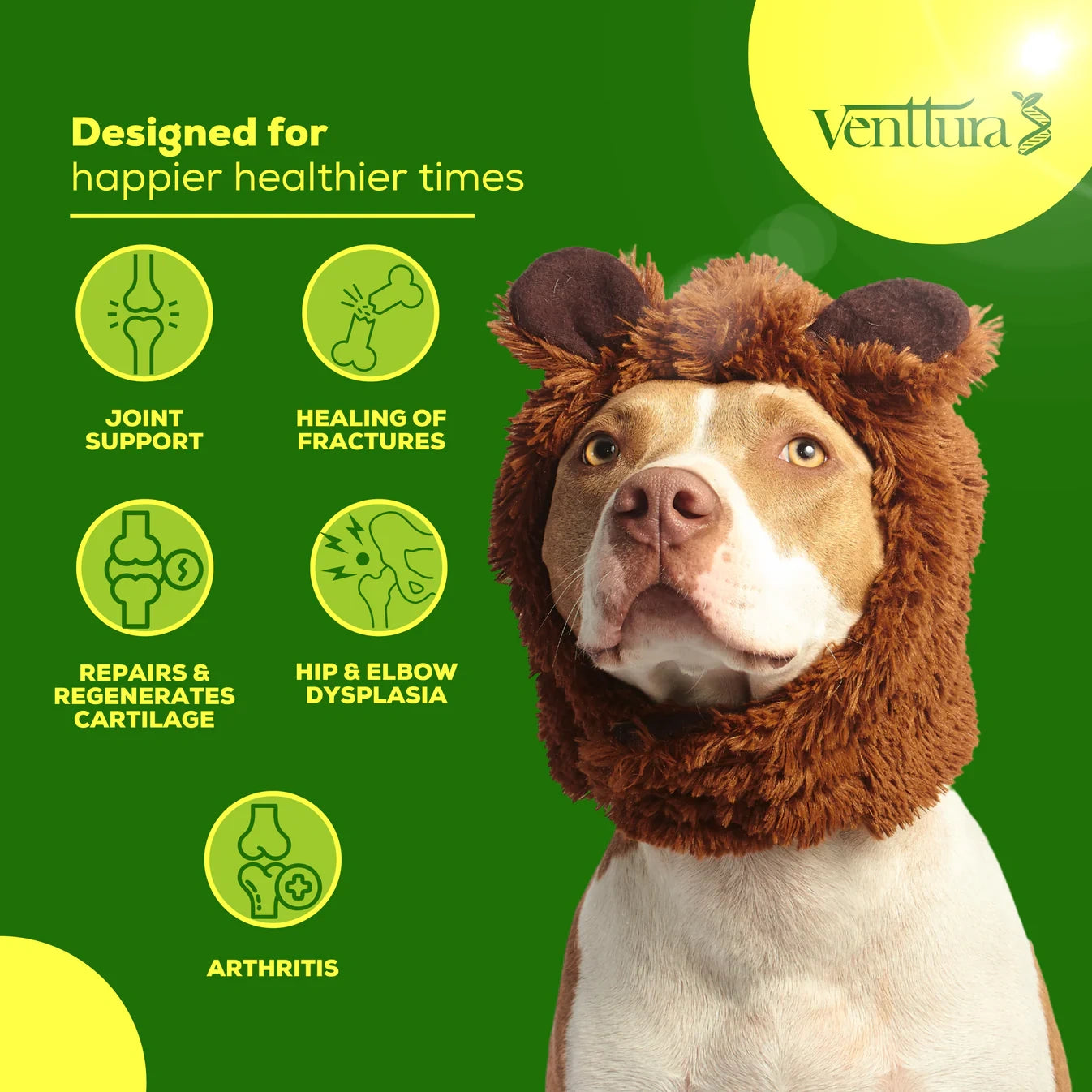 INhancer soft nuggets supplement for dogs by Venttura Bioceuticals with overlay text highlighting benefits like joint protection, repair, and mobility support
