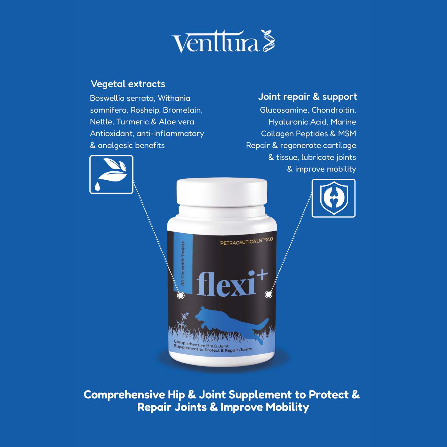 Flexi+ and Omega+ supplement bottles by Venttura Bioceuticals with benefits overlay for joint repair and skin health.