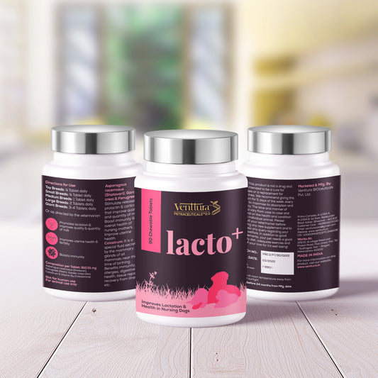 Lacto+ supplement for female dogs by Venttura Bioceuticals - supports nursing mothers by increasing milk quantity and improving uterine health