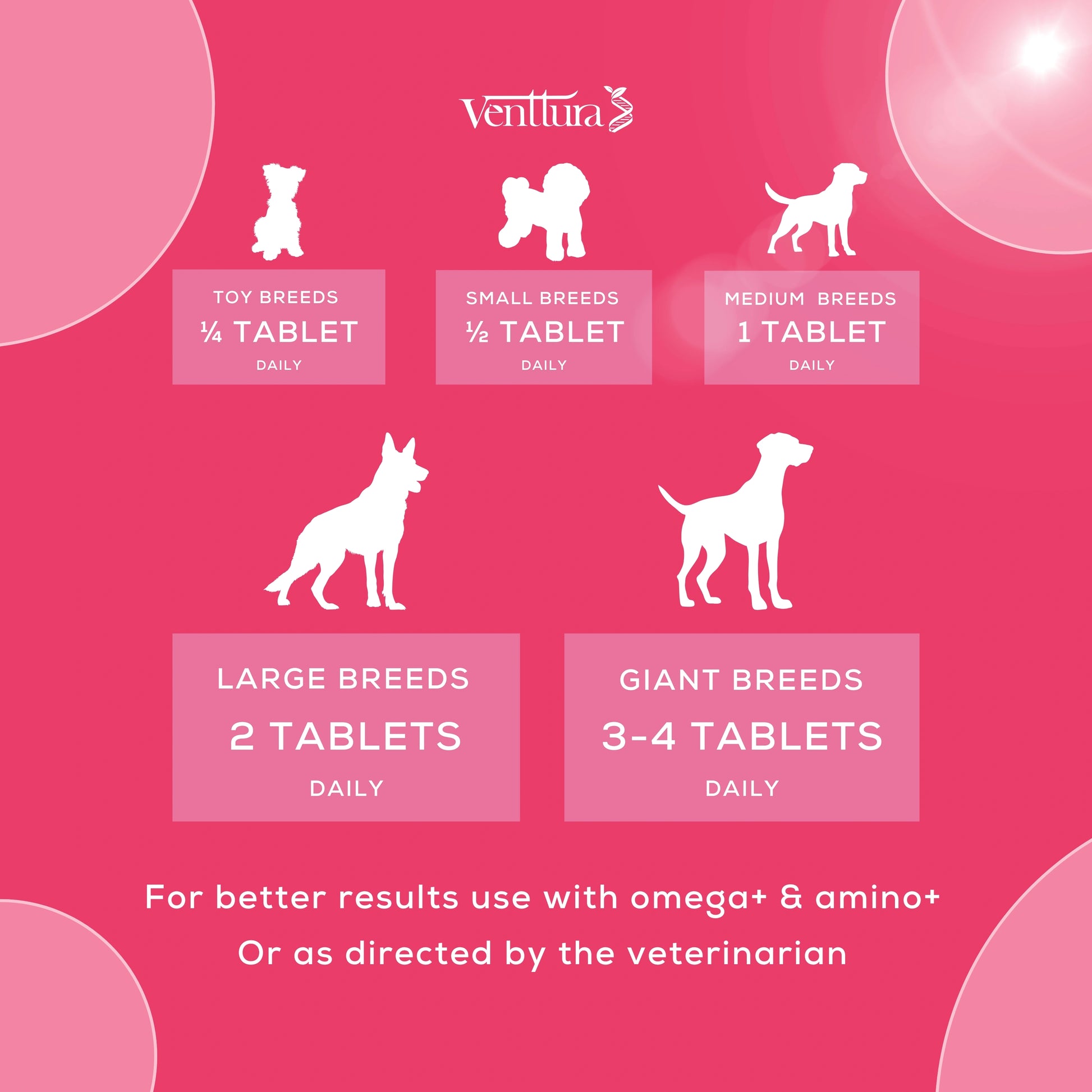 Lacto+ supplement for female dogs by Venttura Bioceuticals with overlay text highlighting benefits like improved milk quality, lactation support, and boosted immunity