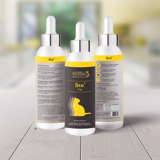 Venttura Livo+ Cat supplement for liver repair, detoxification, and urinary tract support, promoting liver health and overall well-being in cats