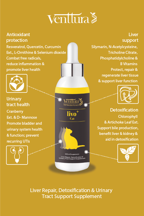 Venttura Livo+ Cat supplement bottle surrounded by its benefits, featuring liver function support, detoxification, urinary system health, and free radical protection for cats.