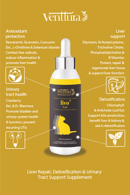 Venttura Livo+ Cat supplement bottle surrounded by its benefits, featuring liver function support, detoxification, urinary system health, and free radical protection for cats.