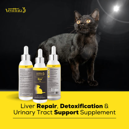 A black cat standing beside three bottles of Venttura’s Livo+ Cat Supplement. Tagline on image reads: 'Liver repair, detoxification, and urinary tract support supplement'.