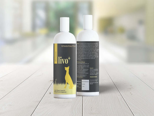 Livo+ supplement for dogs by Venttura Bioceuticals - supports liver repair, recovery, and optimal liver function