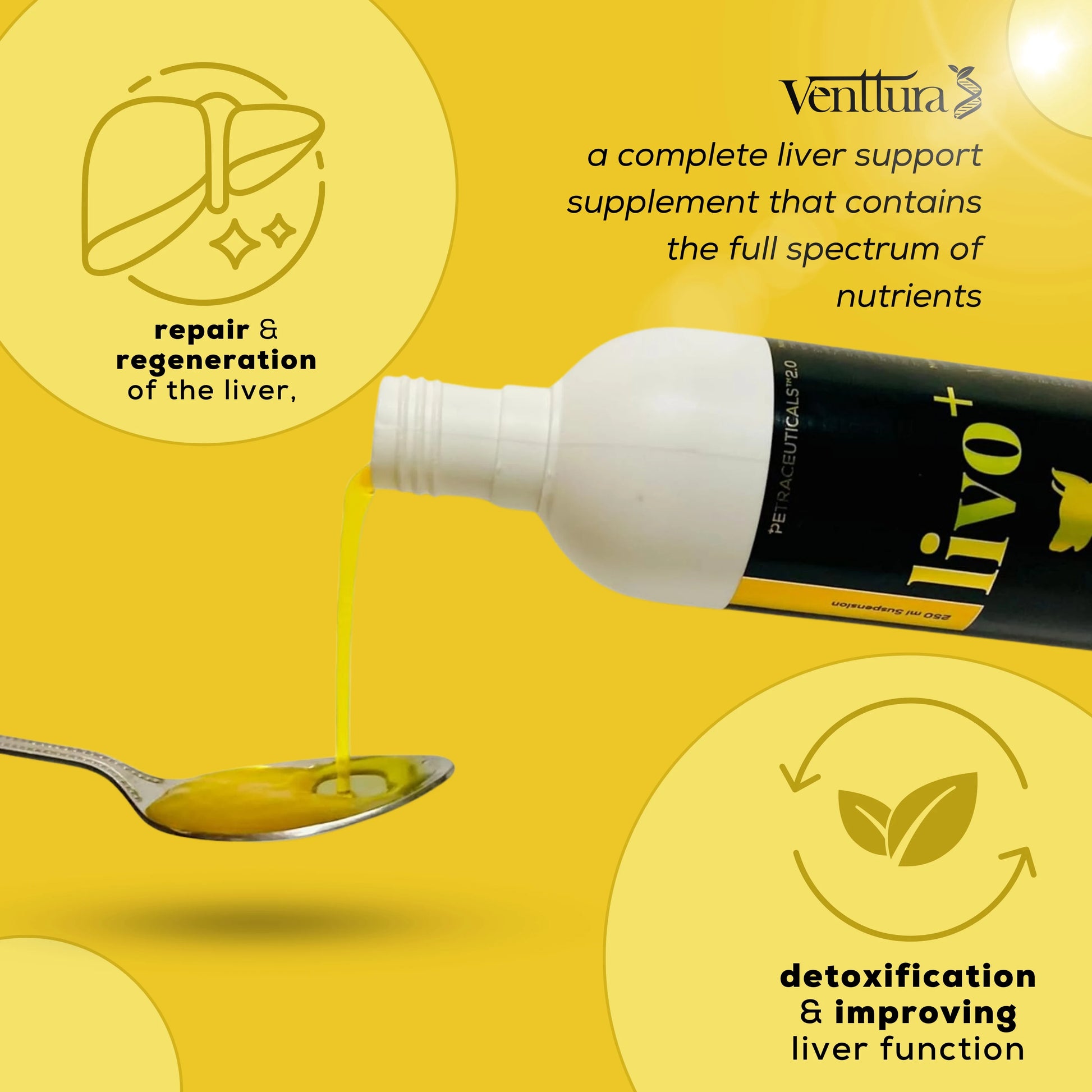 Livo+ liver support supplement by Venttura Bioceuticals - aids deworming, boosts recovery, and helps manage liver disorders in dogs