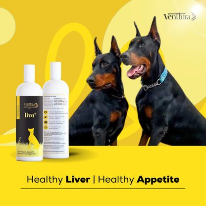 Two dogs sitting with the benefits of Livo+ liver support supplement by Venttura Bioceuticals - repairs and protects the liver, boosts recovery, supports deworming, and detoxifies