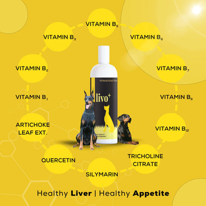 Livo+ liver supplement for dogs by Venttura Bioceuticals - a holistic liver support formula that repairs, detoxifies, and protects the liver while boosting bile production and antioxidant protection.