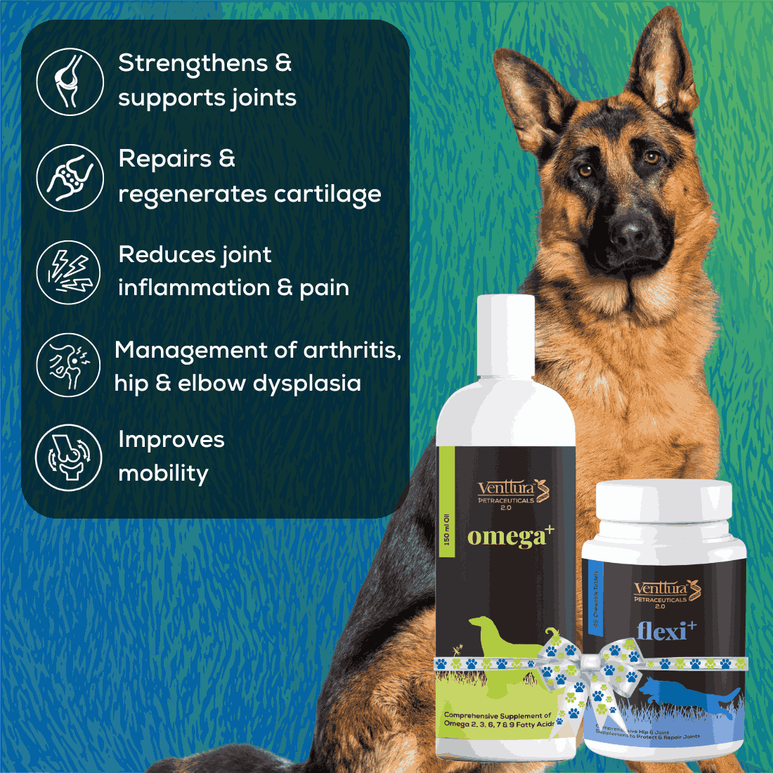 A German Shepherd sitting with Omega+ and Flexi+ supplement bottles by Venttura Bioceuticals - strengthens and supports joints, repairs cartilage, reduces joint inflammation and pain, helps manage arthritis, and improves mobility
