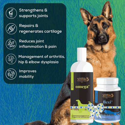 A German Shepherd sitting with Omega+ and Flexi+ supplement bottles by Venttura Bioceuticals - strengthens and supports joints, repairs cartilage, reduces joint inflammation and pain, helps manage arthritis, and improves mobility
