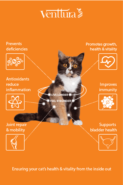 nutri+ Cat | Live Longer | Feel Stronger