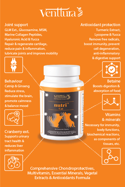 nutri+ Cat | Live Longer | Feel Stronger