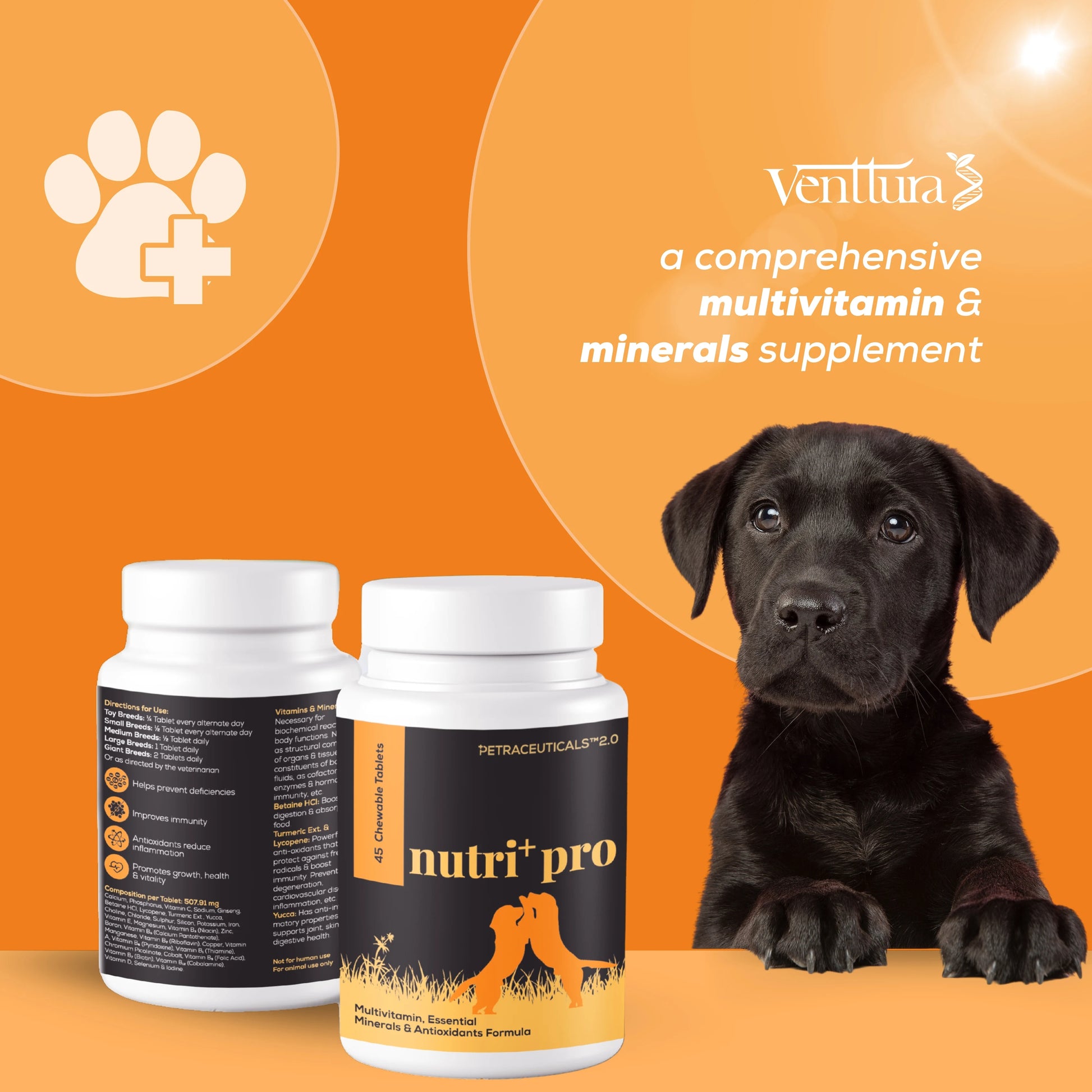 Image of Venttura's Nutri+ Pro supplement bottle with branding, featuring the tagline 'A comprehensive multivitamin and minerals supplement for dogs'.