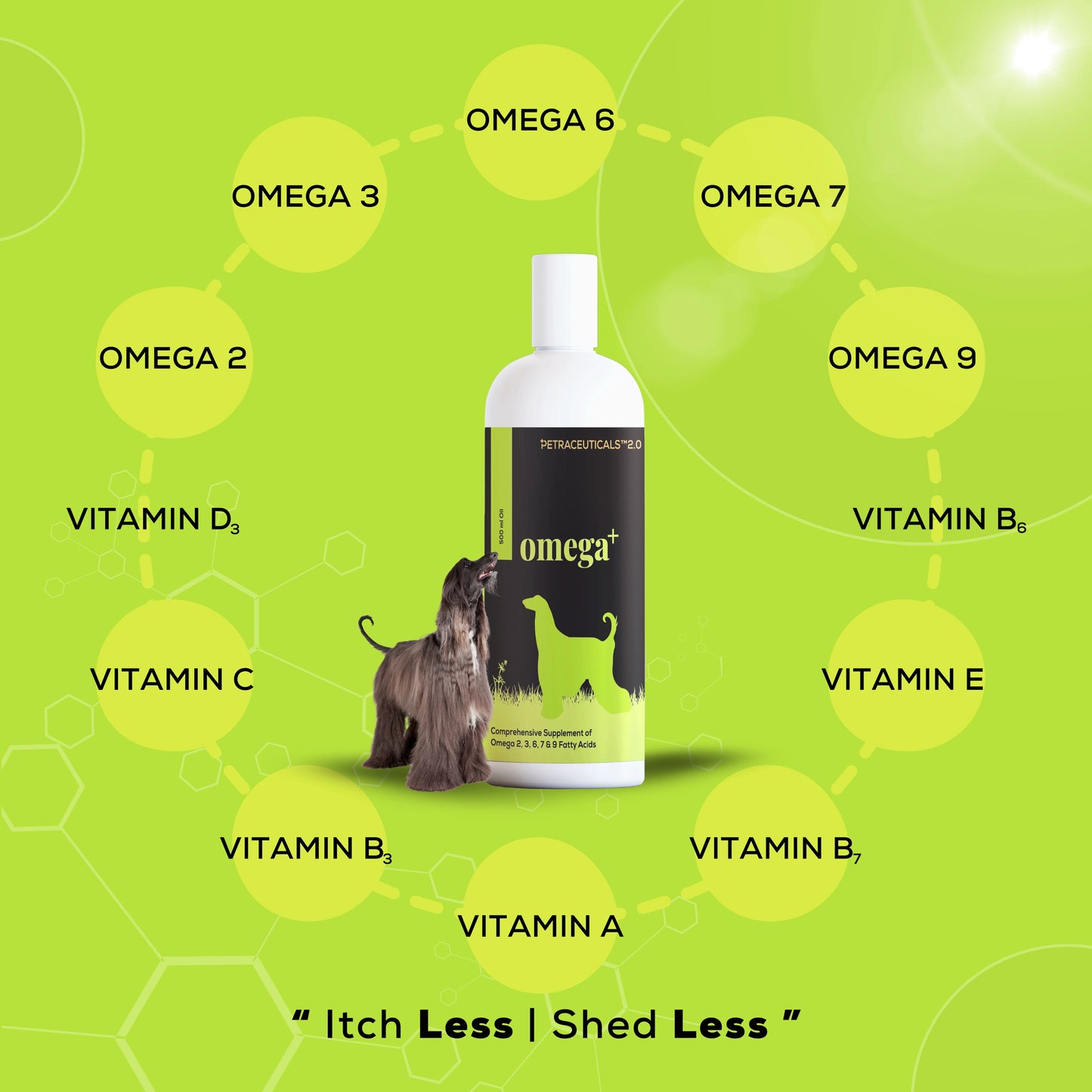 A shiny dog sitting with overlay benefits of Omega+ supplement by Venttura Bioceuticals - promotes healthy skin, coat, and joints.