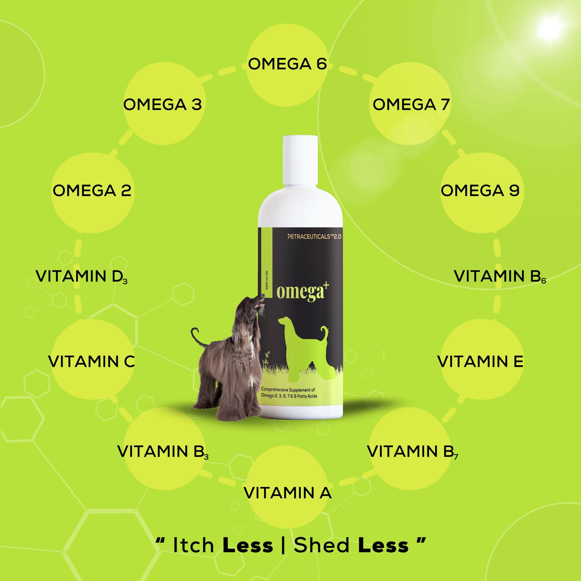 A shiny dog sitting with overlay benefits of Omega+ supplement by Venttura Bioceuticals - promotes healthy skin, coat, and joints.