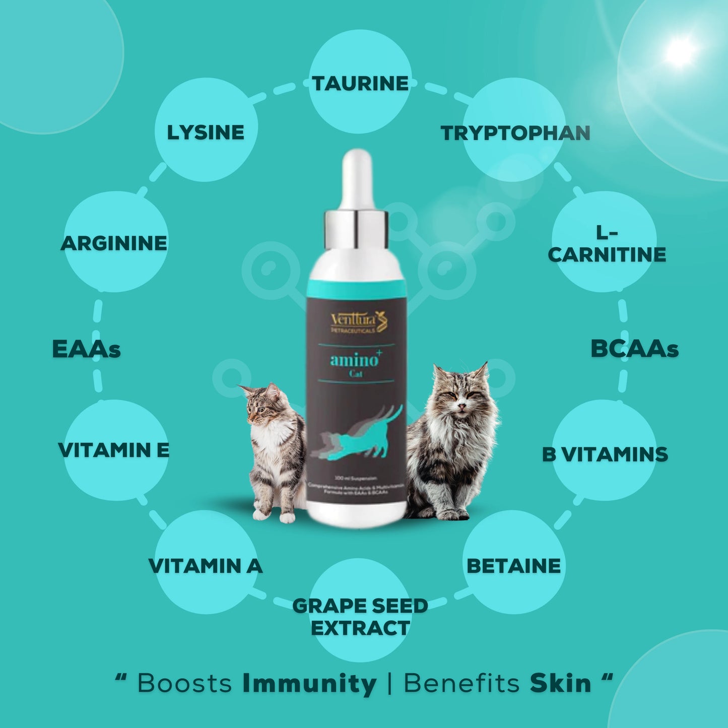 Amino+ Cat is a unique supplement specifically formulated for cats, containing all 11 essential and non-essential amino acids, betaine, choline, inositol, vitamins, grape seed extract for antioxidant support, and enhanced levels of arginine, lysine, taurine, and methionine.