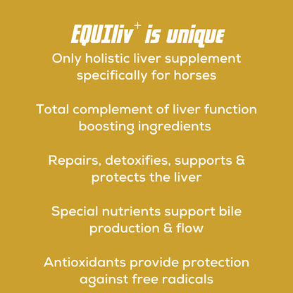 EQUIliv+ is the only holistic liver supplement specifically for horses, containing a complete range of liver function-boosting ingredients, antioxidants, and special nutrients to enhance bile production and flow.