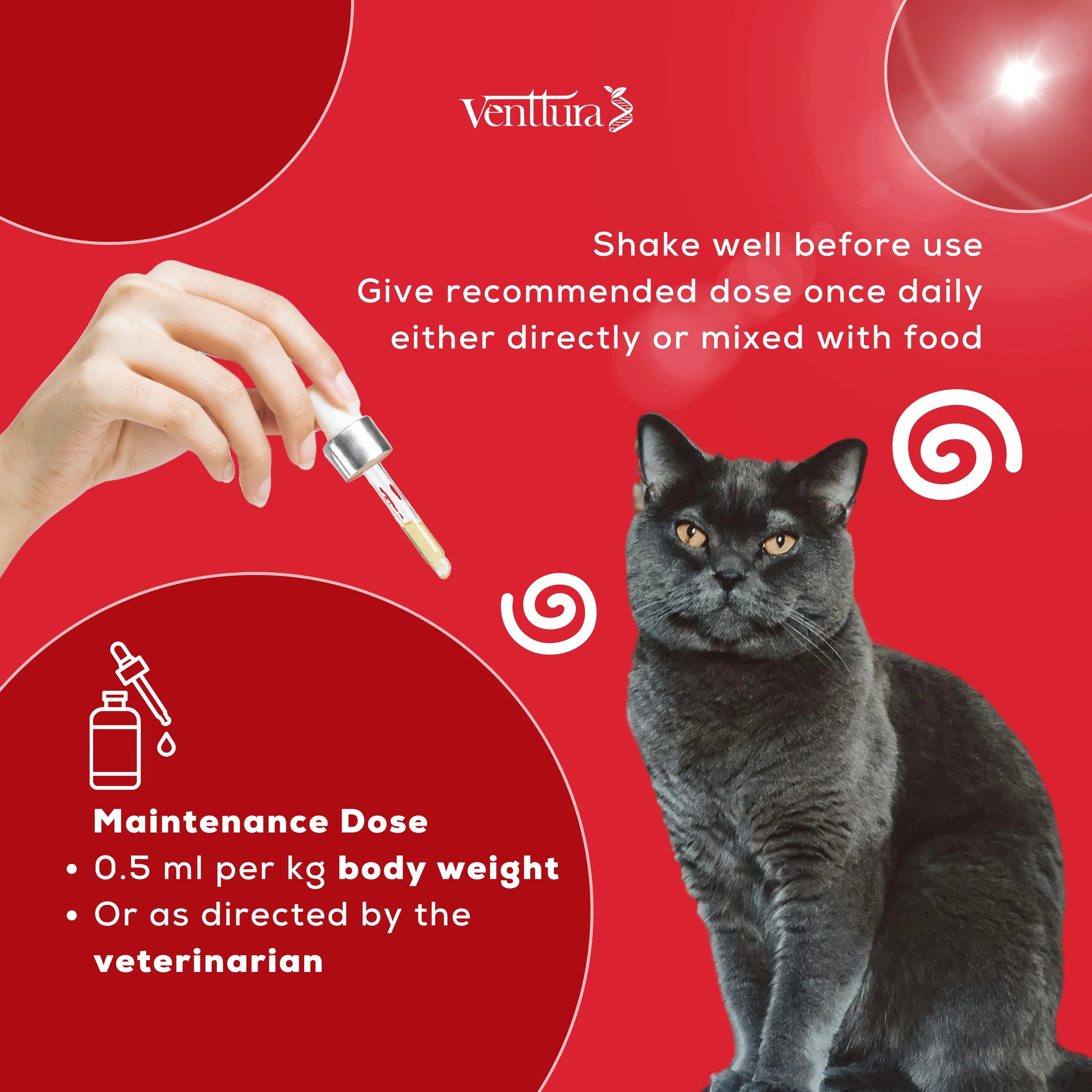 Ferro+ Cat is a unique supplement designed specifically for cats, providing a full spectrum of nutrients for hemoglobin formation, red blood cell production, enhanced blood flow, boosted immunity, antioxidant protection, and cardiac health support