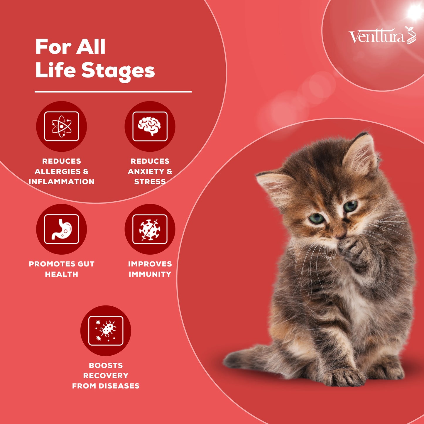 Immuno+ Cat is a unique sublingual supplement specifically designed for cats, featuring colostrum and lysine for immunity boosting, calming properties, anti-inflammatory benefits, and allergy support
