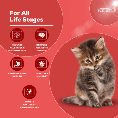 Immuno+ Cat is a unique sublingual supplement specifically designed for cats, featuring colostrum and lysine for immunity boosting, calming properties, anti-inflammatory benefits, and allergy support