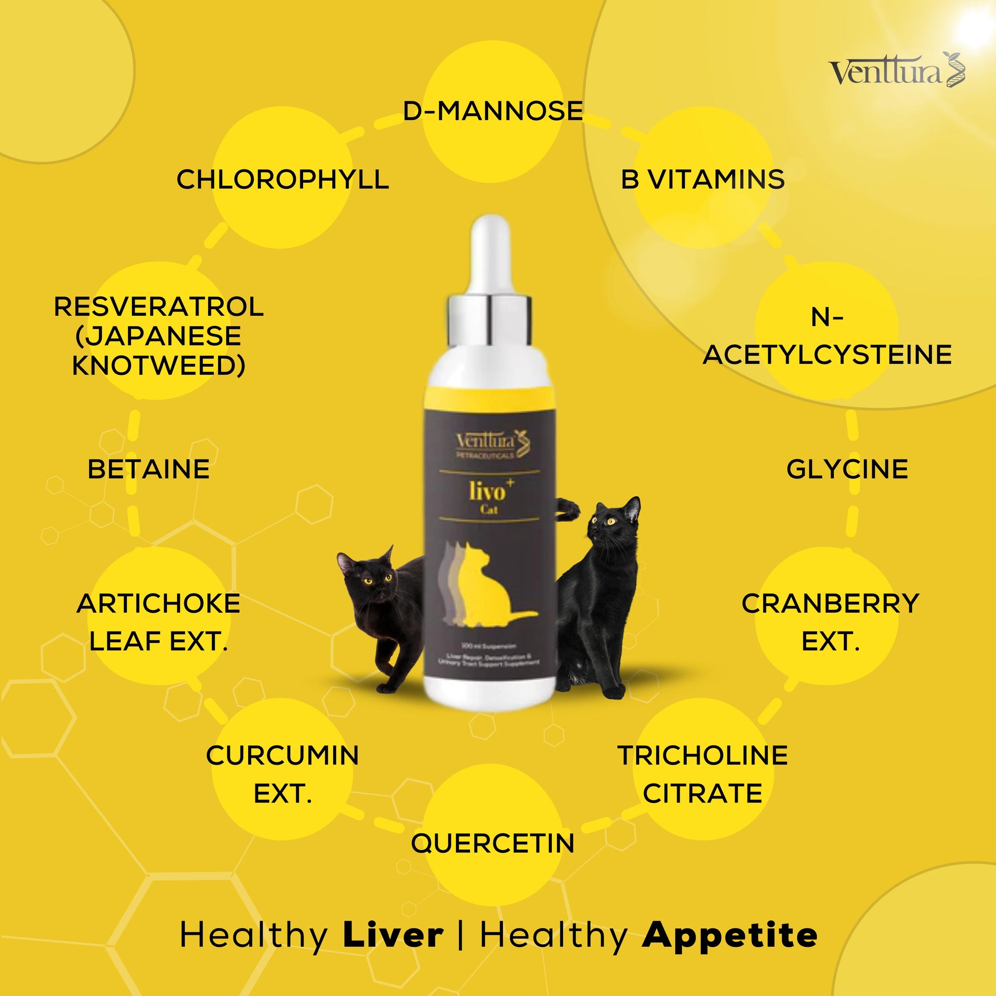 Livo+ Cat is a unique supplement specifically designed for cats, with a full complement of liver function-boosting ingredients, repairing and detoxifying the liver, and special nutrients for urinary tract support. Antioxidants provide free radical protection.