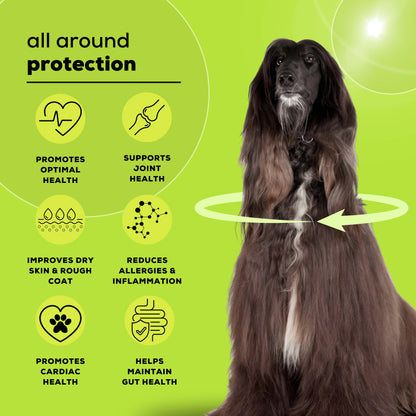 Omega+ supplement for dogs by Venttura Bioceuticals - contains omega 2, 3, 6, 7, and 9 for skin, coat, and joint benefits, plus anti-inflammatory and antioxidant properties