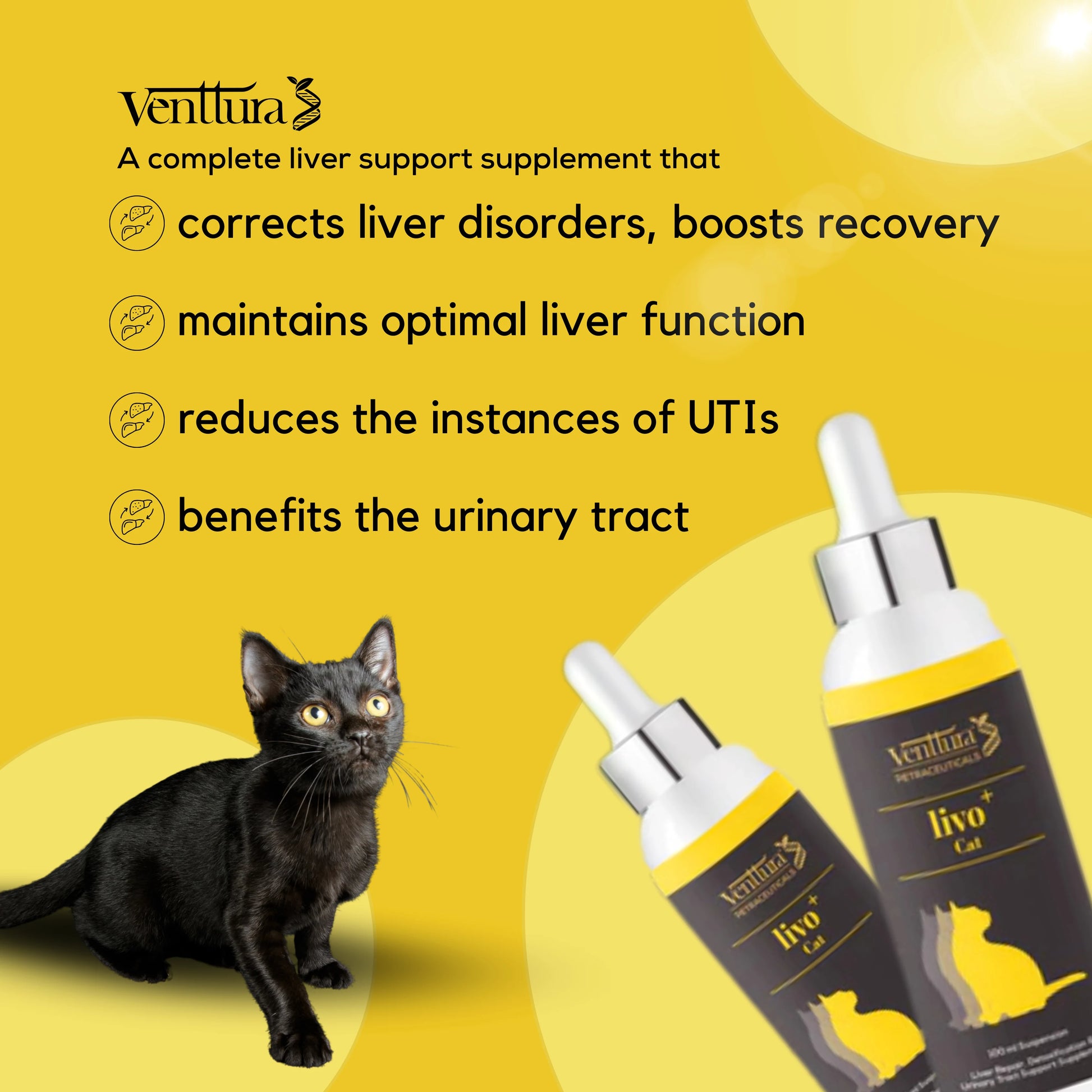 Venttura Livo+ Cat Supplement with a black cat sitting beside the bottle. Text highlights: 'A complete liver support supplement that corrects liver disorders, boosts recovery, maintains optimal liver function, reduces UTIs, and benefits the urinary tract'. Venttura logo included.


