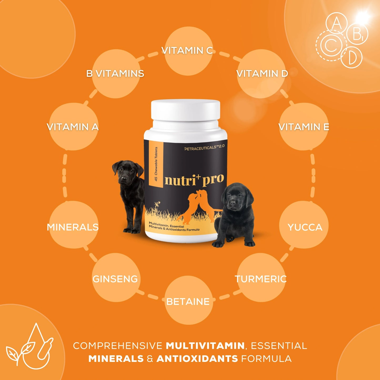 nutri+ Pro | Live Longer | Feel Stronger