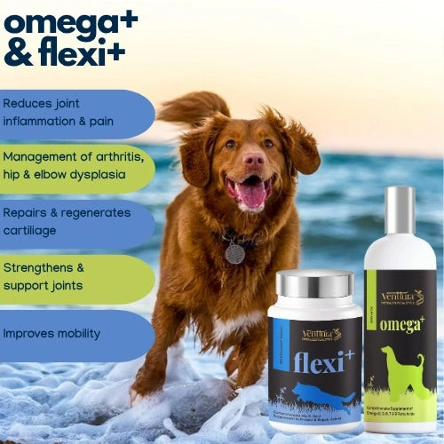 Mobility Care : Flexi+ (45 Tablets) & Omega+(150ml)