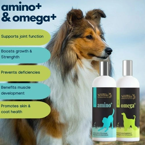 Ultimate Health : Amino+ & Omega+ (150ml each)
