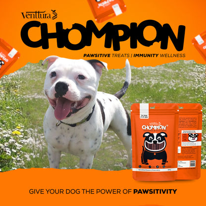 Venttura Chompion Pawsitive Treats for Dogs – Immunity Wellness