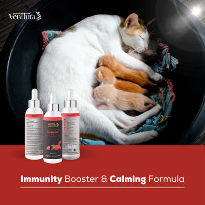 A mother car feeding her kittens with immuno+ cat immunity supplement bottle besides them 
tagline is immunity booster and calming formula 