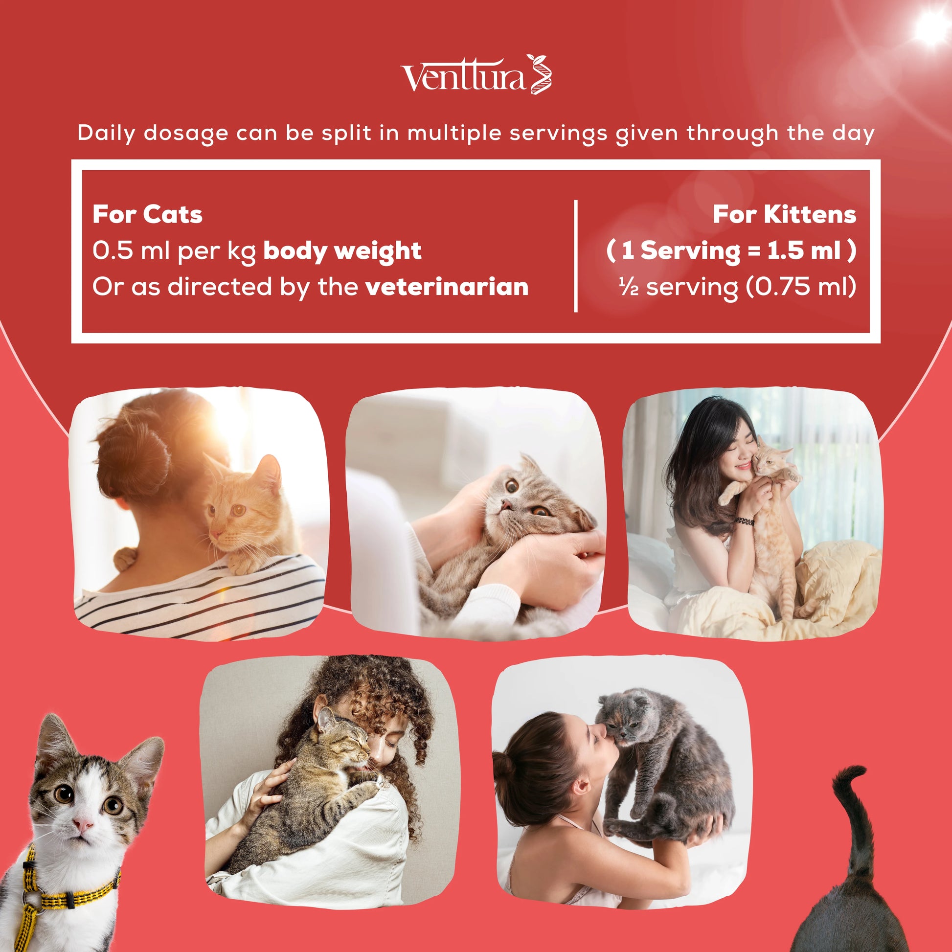 immuno+ cat daily dosage can be split in multiple servings given through the day 
for cats 0.5ml per kg body weight or as directed by the veterinarian 
for kitten 1 serving= 1.5ml 1/2 serving 0.75ml 