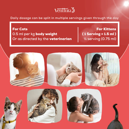 immuno+ cat daily dosage can be split in multiple servings given through the day 
for cats 0.5ml per kg body weight or as directed by the veterinarian 
for kitten 1 serving= 1.5ml 1/2 serving 0.75ml 