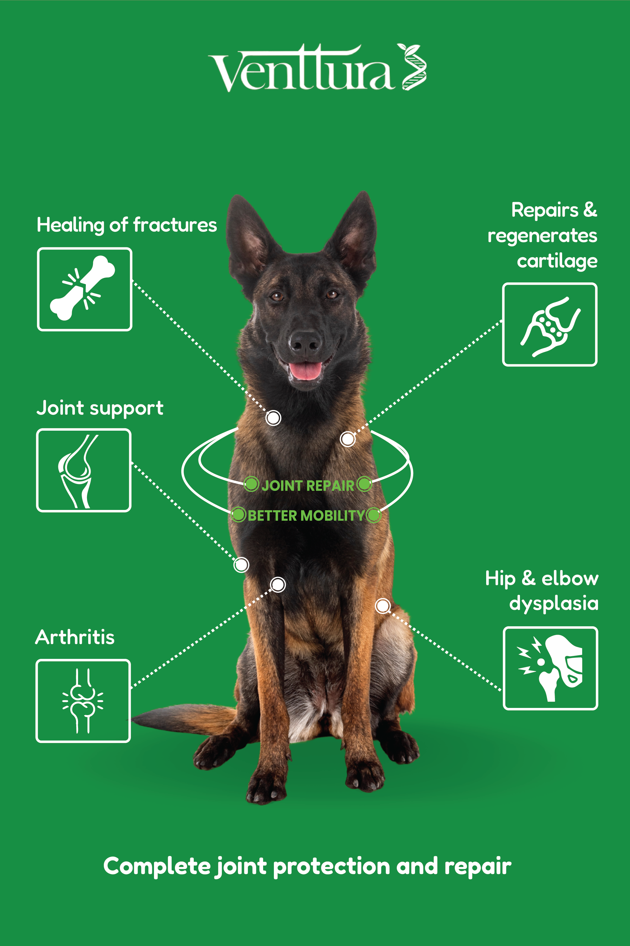 Joint and cartilage health for large breed dogs